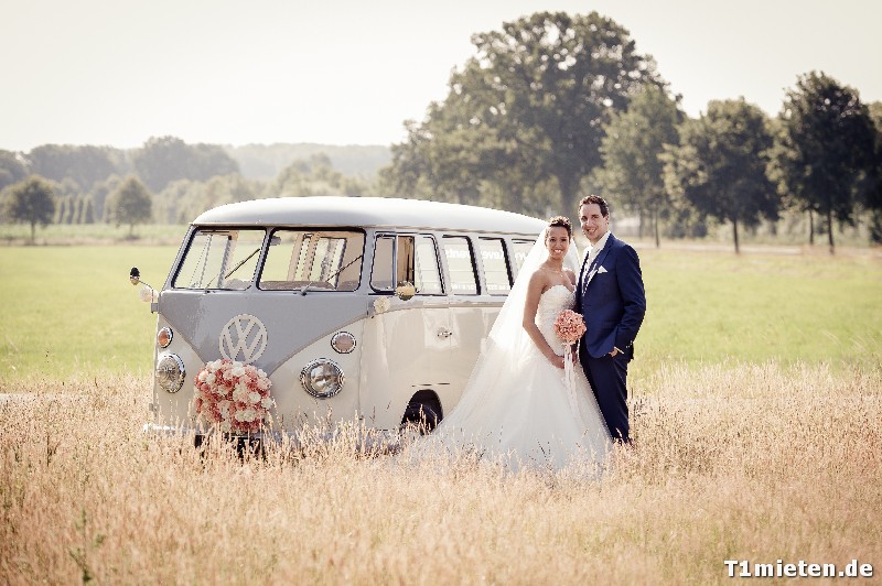 Hochzeitsbulli mieten Volkswagen T1 Weiss hell Grau in 48477 Hörstel