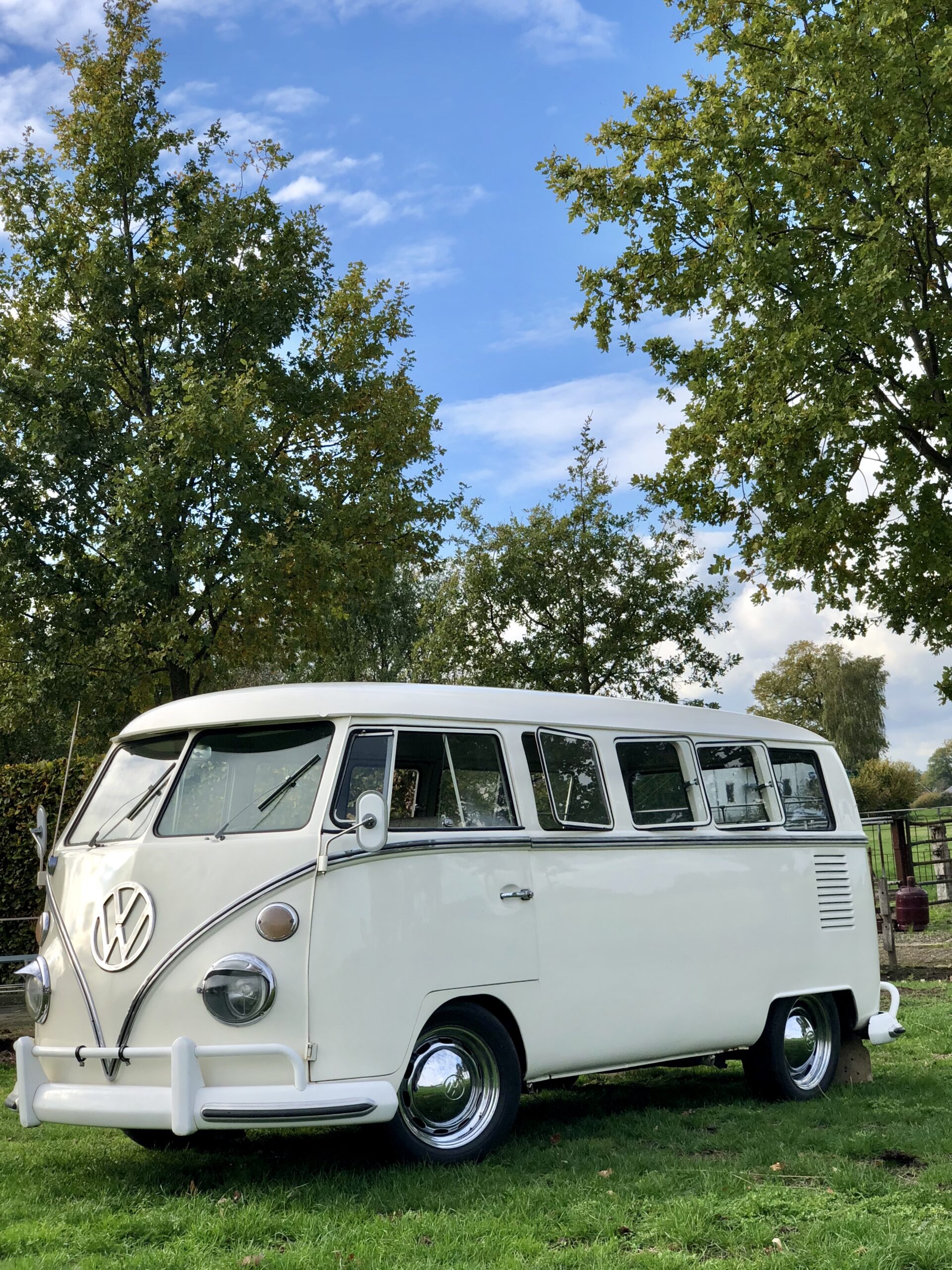 Volkswagen T1 Bulli farbe Weiss