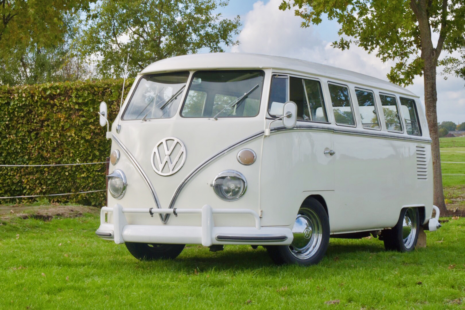 Volkswagen T1 Bulli farbe Weiss