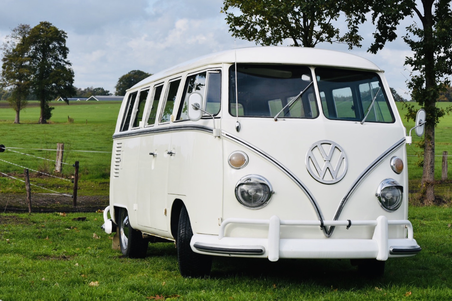 Hippiebus in Weiss hochzeitsauto Kultbus Kult Bulli