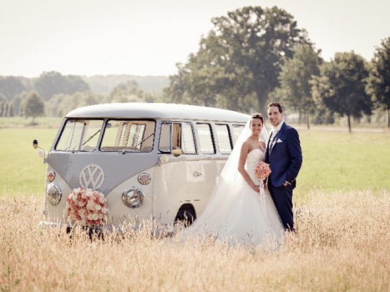 VW Bulli T1 Hell Grau /Light Grey Flower 1967